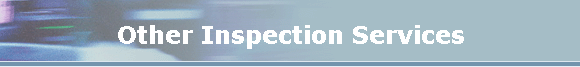 Other Inspection Services